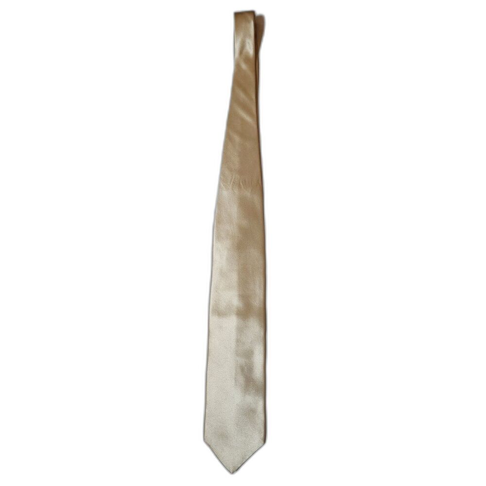 Regis 100% Silk Tie
